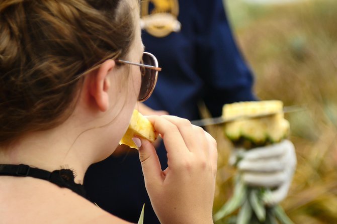 Maui Pineapple Farm Tour in Haliimaile - A good fit for families and three generations