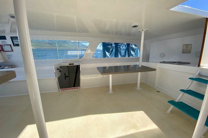 Maui Premium Sunset Dinner Cruise from Ka’anapali Beach - Whale watching from December 15 through April 15