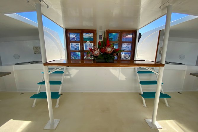Maui Premium Sunset Dinner Cruise from Ka’anapali Beach - Comfort, movement, and getting wet