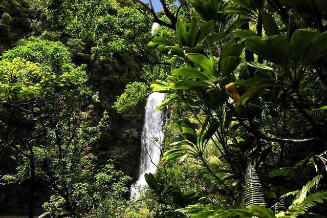 Maui: Road to Hana Luxury Limo-Van Tour with Helicopter Flight - The 36-minute helicopter flight back