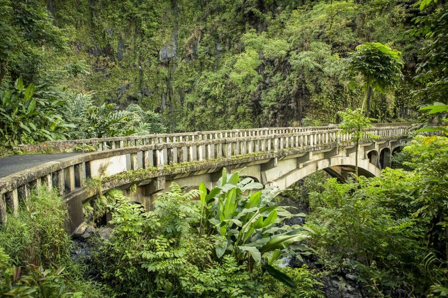 Maui: Small-Group Road to Hāna Sightseeing Tour - Waiʻānapanapa’s black sand coast