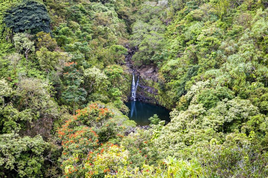 Maui: Small-Group Road to Hāna Sightseeing Tour - Lunch, snacks, and what $250 buys you