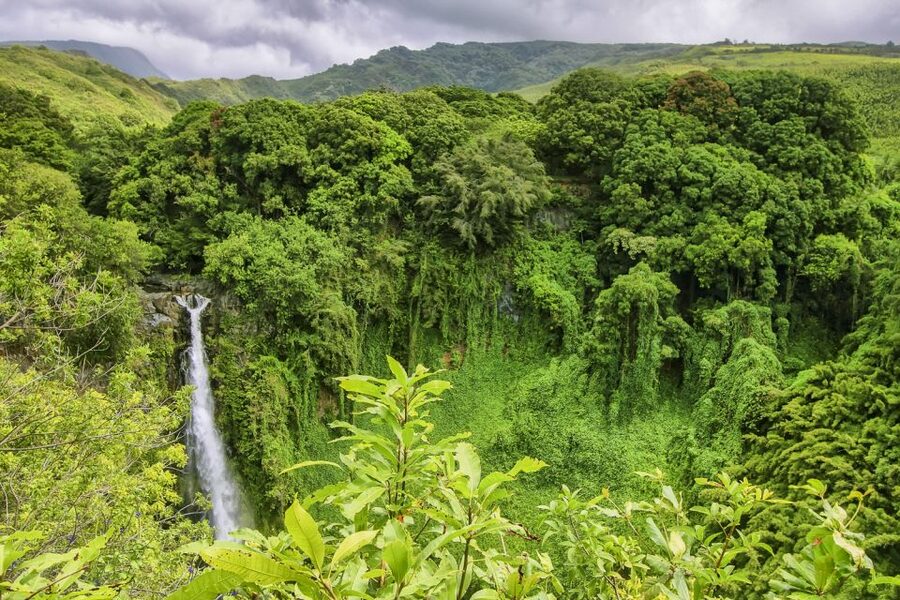 Maui: Small-Group Road to Hāna Sightseeing Tour - Starting early with fruit and pastries