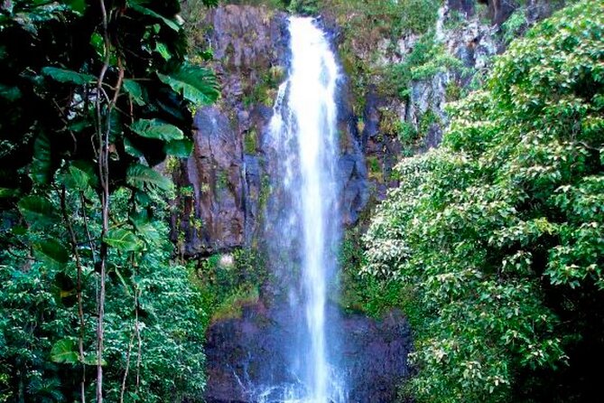 Maui: Small Group Road to Hāna Tour 6 to 8 passengers - Wailua Falls, Kipahulu, and the route beyond Hāna