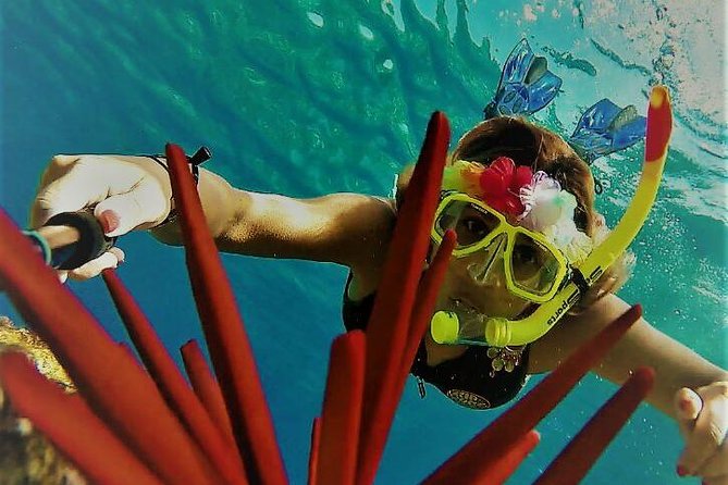 Maui Snorkel Adventure: Molokini Crater and Turtle Cove - Molokini Crater: the best underwater scenery