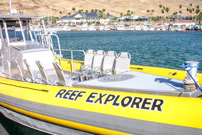 Maui Snorkel Adventure: Molokini Crater and Turtle Cove - Turtle Cove and the search for Green Sea Turtles