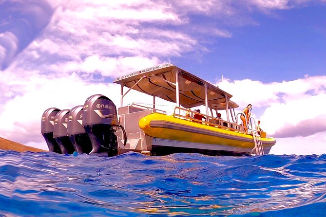 Maui Snorkel Adventure: Molokini Crater and Turtle Cove - The first water stop and the road to Molokini