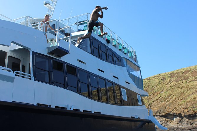 Maui Snorkeling Adventure From Ma'alaea Harbor to Molokini - Turtle Town and the responsibility of seeing turtles