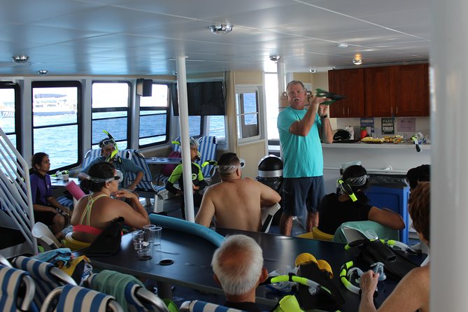 Maui Snorkeling Adventure From Ma'alaea Harbor to Molokini - How the $185.95 price measures up