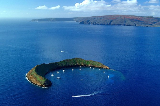 Maui Snorkeling Adventure From Ma'alaea Harbor to Molokini - A morning departure from Ma’alaea Harbor