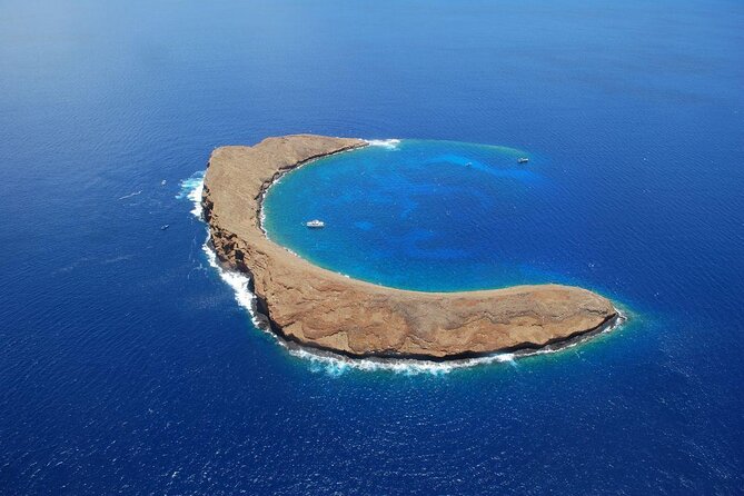 Maui Snorkeling Adventure to Molokini and Turtle Town - Key points to know before booking