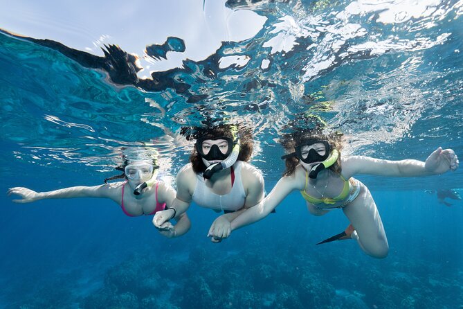 Maui Snorkeling Boat Tour to Turtle Town Aboard Quicksilver - Quick take: what you need to know