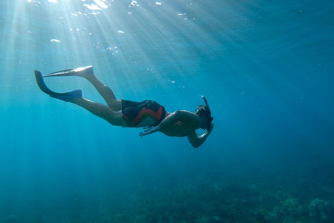 Maui Snorkeling Boat Tour to Turtle Town Aboard Quicksilver - Lunch, drinks, and the extras included in $99.95
