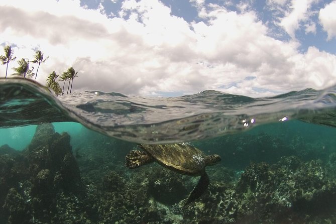 Maui South Coast and Molokini Crater Adventure from Kihei - Why the small Redline raft changes the morning