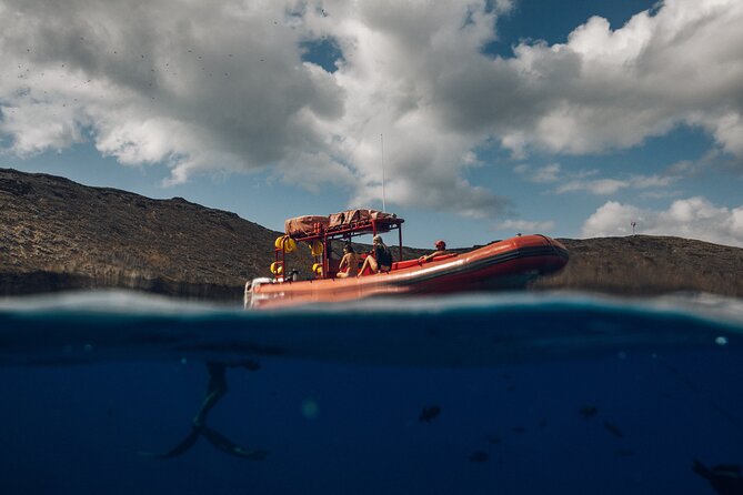 Maui South Coast and Molokini Crater Adventure from Kihei - The back wall, the tour’s special access