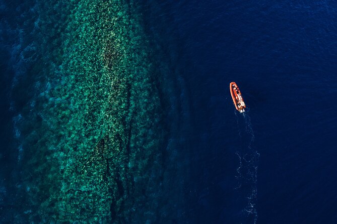Maui South Coast and Molokini Crater Adventure from Kihei - Who will enjoy this Maui snorkeling trip most