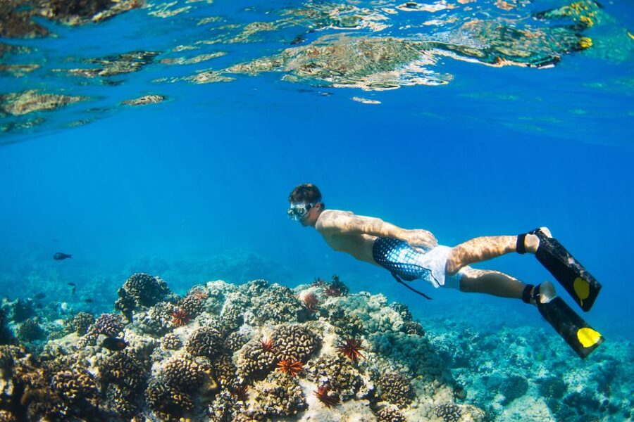 Maui: Turtle Town Kayak and Snorkel Tour - Paddling 1.5 miles across Makena Bay