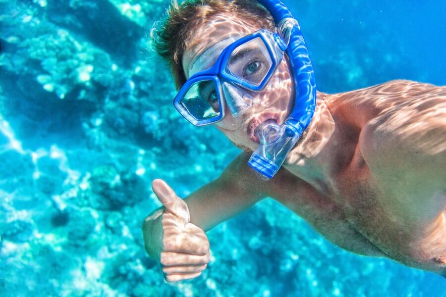 Maui: Turtle Town Kayak and Snorkel Tour - Snorkeling among turtles, fish, and coral