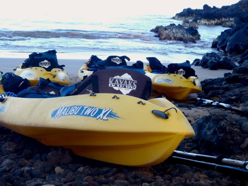 Maui: Turtle Town Kayak and Snorkel Tour - Who should book this tour?