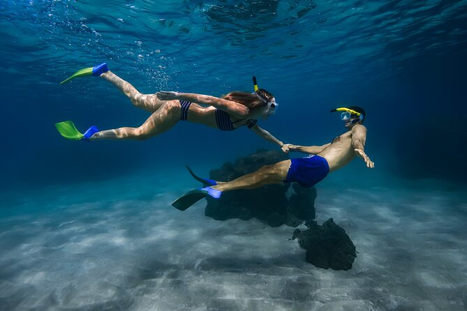 Maui: Turtle Town Snorkel with Photo and Video - Key points to know before booking