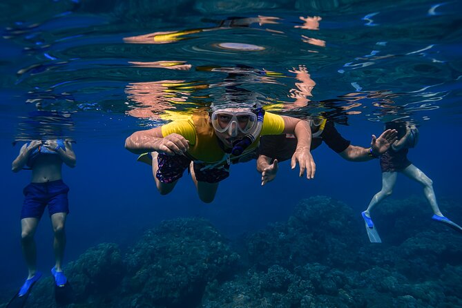 Maui: Turtle Town Snorkel with Photo and Video - Swimming out to Turtle Town