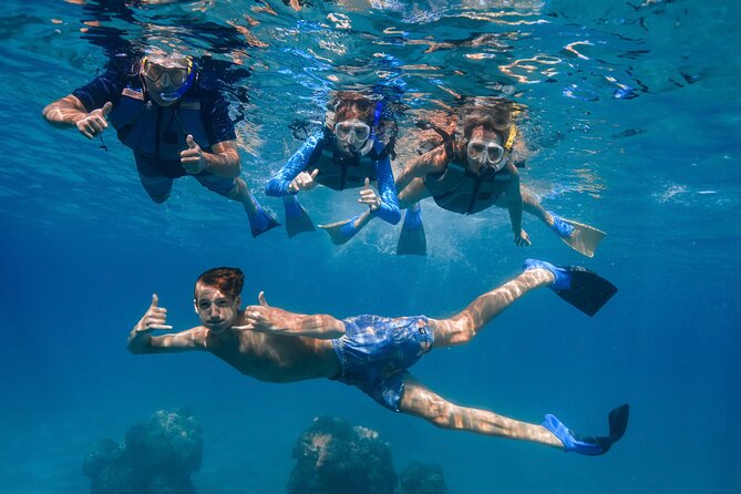 Maui: Turtle Town Snorkel with Photo and Video - What you may see beneath the surface