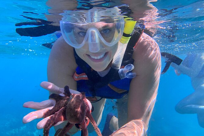 Maui: Turtle Town Snorkel with Photo and Video - Is $129 a fair price?