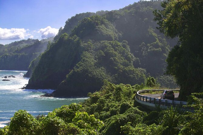 Maui: VIP Private Road to Hana Tour with Pick Up - Key points to know before booking