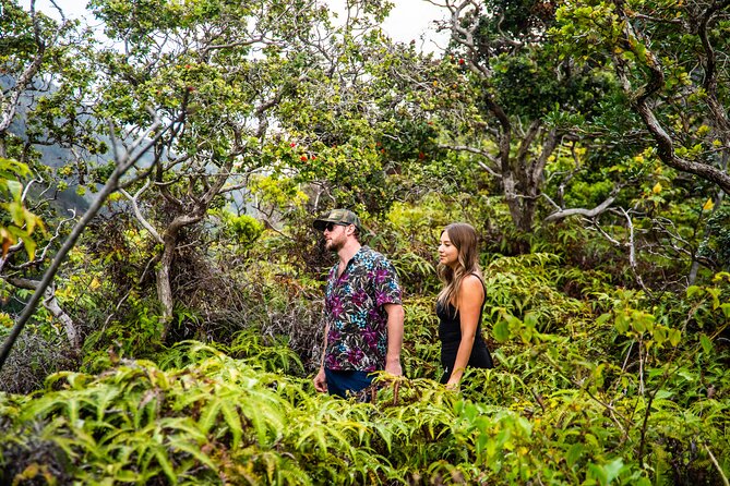 Maui: VIP Private Road to Hana Tour with Pick Up - Hana town is small, simple, and worth slowing down for