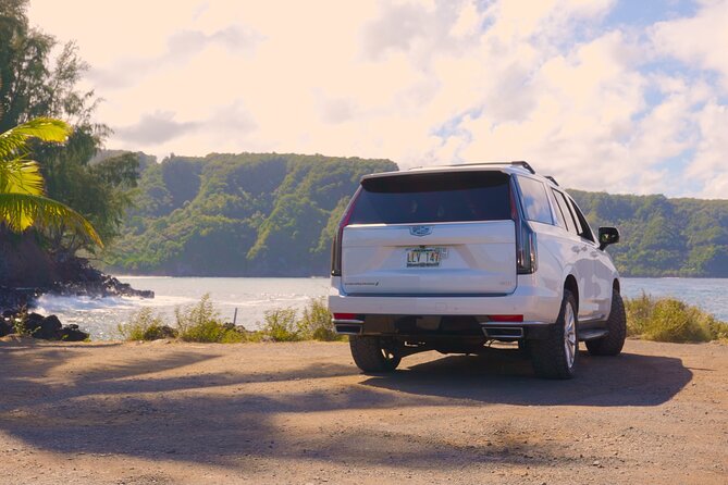 Maui: VIP Private Road to Hana Tour with Pick Up - Koki Beach and Venus Pool require sensible judgment