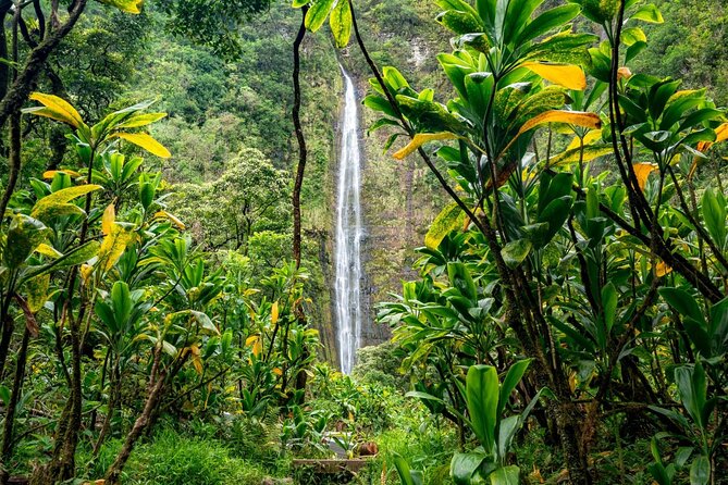 Maui: VIP Private Road to Hana Tour with Pick Up - Ho‘okipa closes the loop with sea turtles