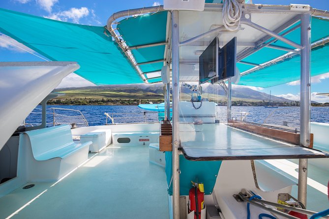 Maui: Whale Watching Cruise with Open Bar from Ka'anapali Beach - The best seats for whale watching