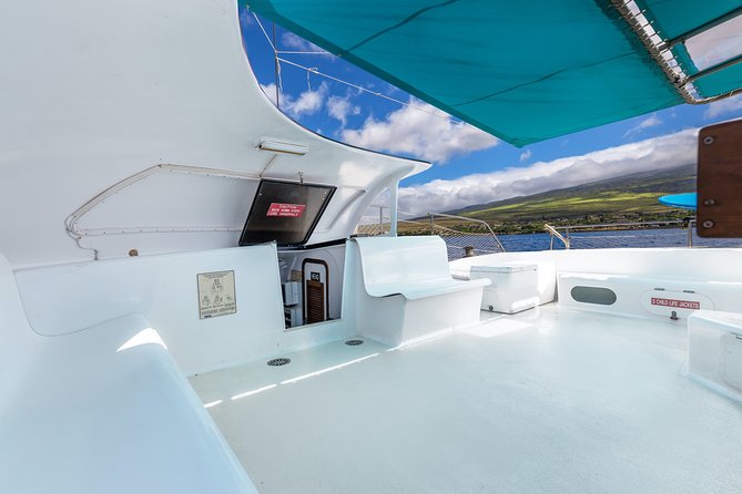 Maui: Whale Watching Cruise with Open Bar from Ka'anapali Beach - What sightings can really be like