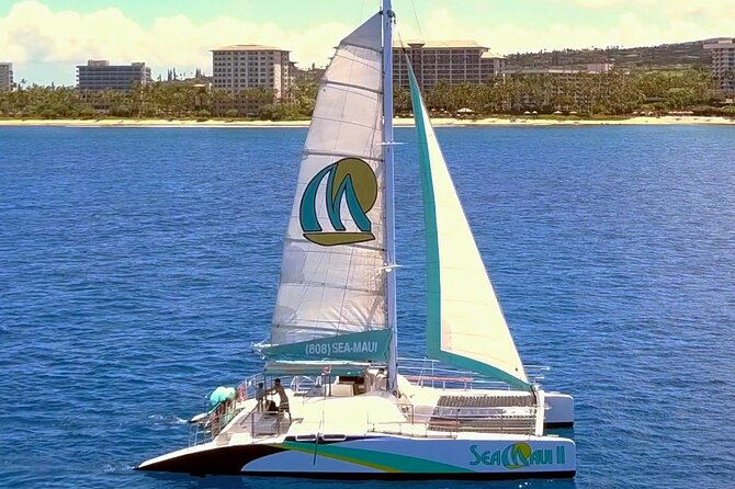 Maui: Whale Watching Cruise with Open Bar from Ka'anapali Beach - Two hours in Maui’s humpback waters