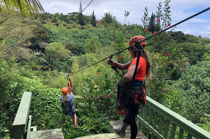 Maui Zipline Eco Adventure: 8 Lines through the Jungle - Eight lines through Haiku’s tropical forest