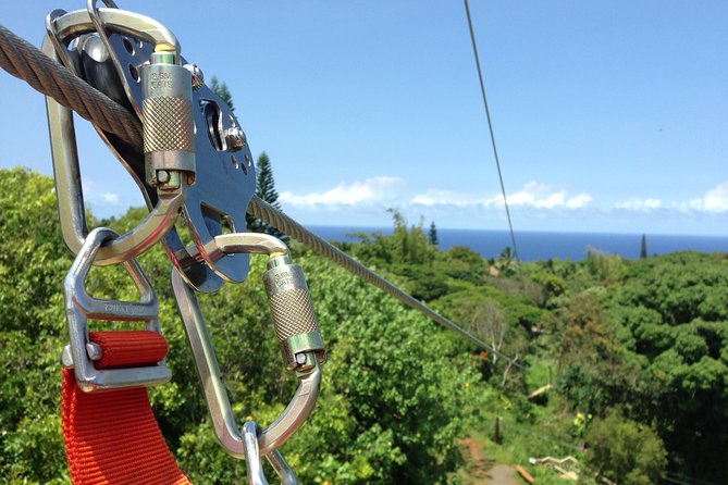 Maui Zipline Eco Adventure: 8 Lines through the Jungle - Check-in, gear, and the first safety briefing