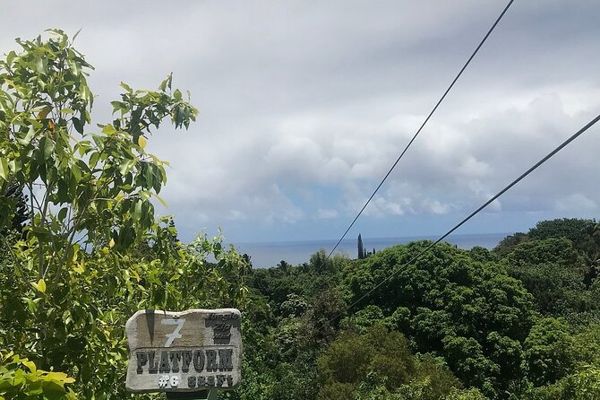 Maui Zipline Eco Adventure: 8 Lines through the Jungle - The three tree platforms and eight-line route