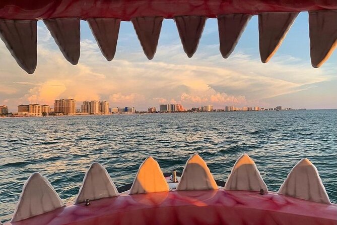 Mega Bite Dolphin Tour Boat in Clearwater Beach - What the one-hour route is like