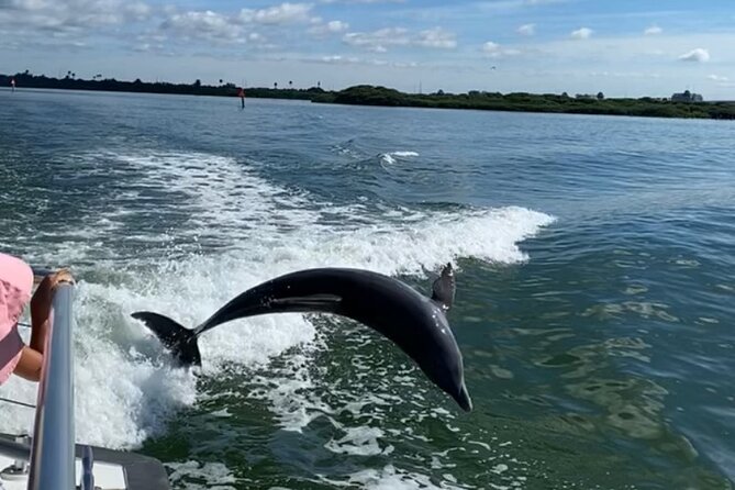 Mega Bite Dolphin Tour Boat in Clearwater Beach - Comfort, refreshments, and family appeal