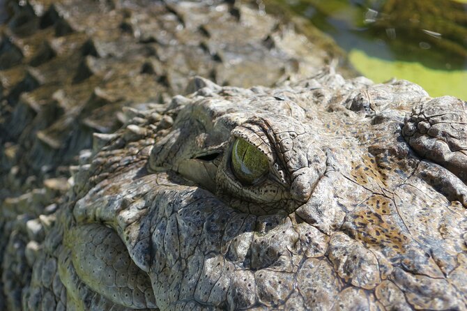Miami and Everglades Adventure: Airboat & Bay Cruise Combo - What the $95 price really buys you