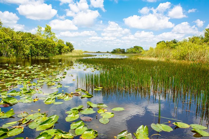 Miami and Everglades Adventure: Airboat & Bay Cruise Combo - Practical ways to make the day better