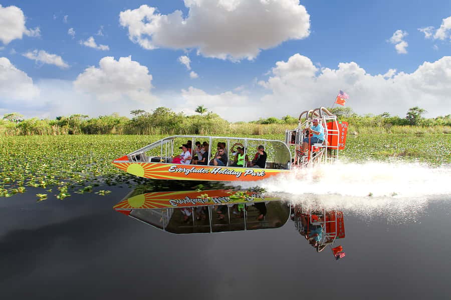 Miami: Everglades Experience, Bay Cruise & Open-Top Bus Tour - Should you book it?