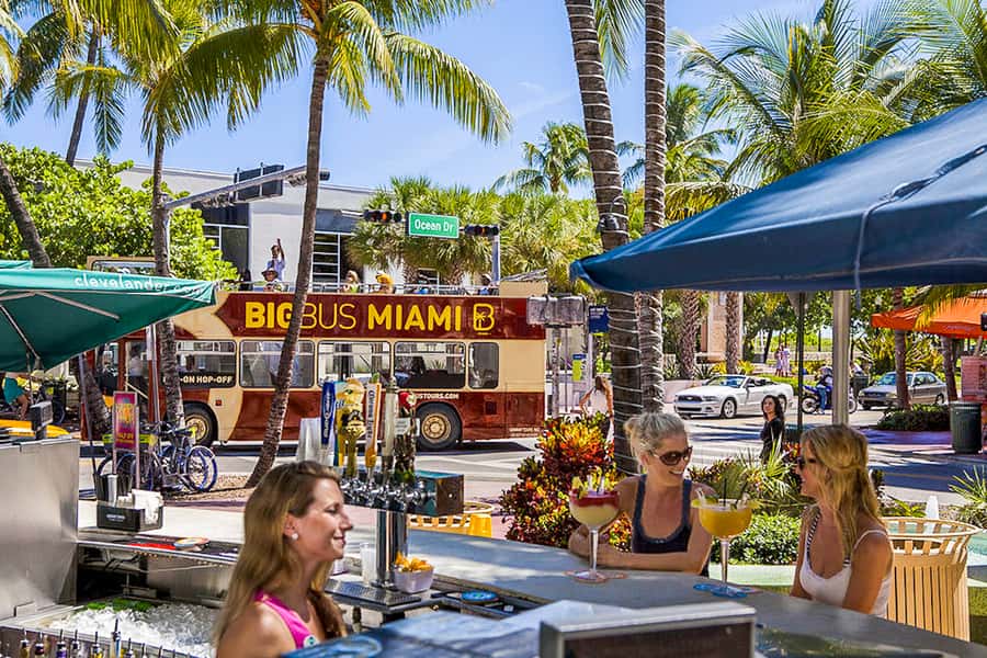 Miami: Everglades Experience, Bay Cruise & Open-Top Bus Tour - What this $80 Miami package really gives you