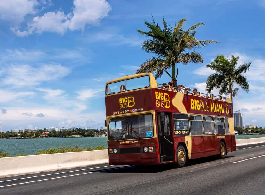 Miami: Everglades Experience, Bay Cruise & Open-Top Bus Tour - The open-top bus through Miami’s main districts