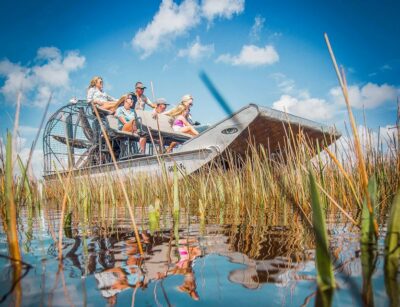 Everglades National Park Airboat Tour & Wildlife Show