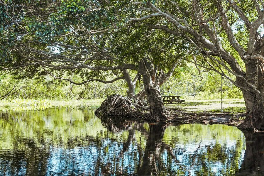 Miami: Everglades National Park Airboat Tour & Wildlife Show - How long to allow and when to go