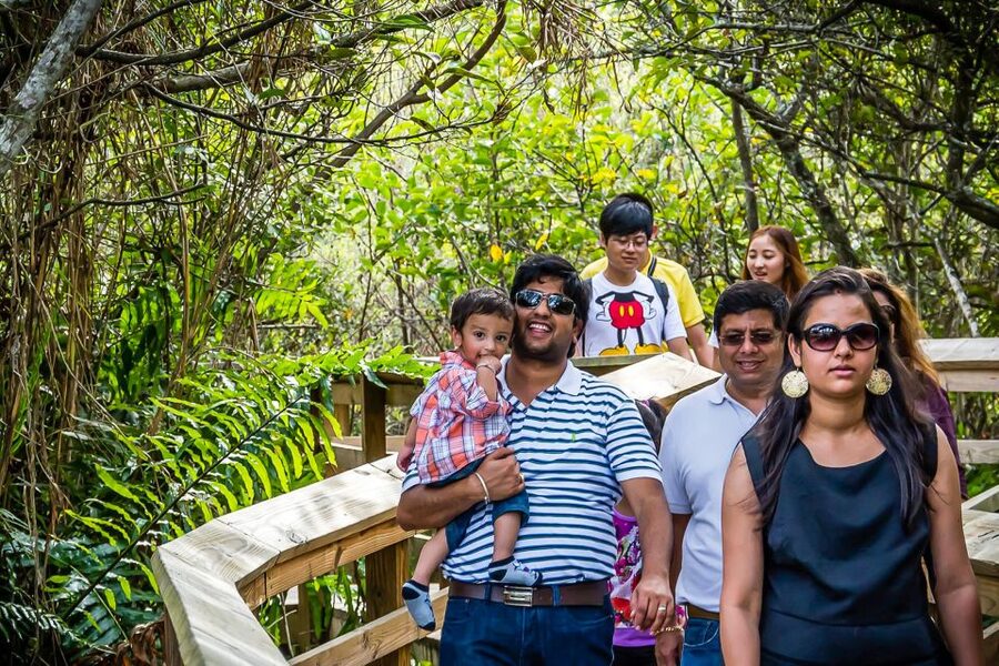 Miami: Everglades Safari Park Airboat Tour - Wildlife sightings depend on timing and weather