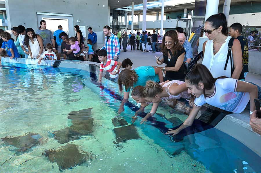 Miami: Frost Museum of Science and Planetarium Entry Ticket - The Power of Science adds context