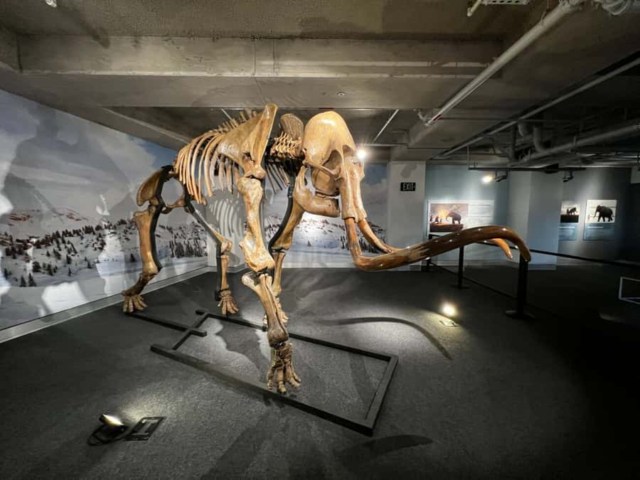 Miami: Frost Museum of Science and Planetarium Entry Ticket - Is $30 good value?