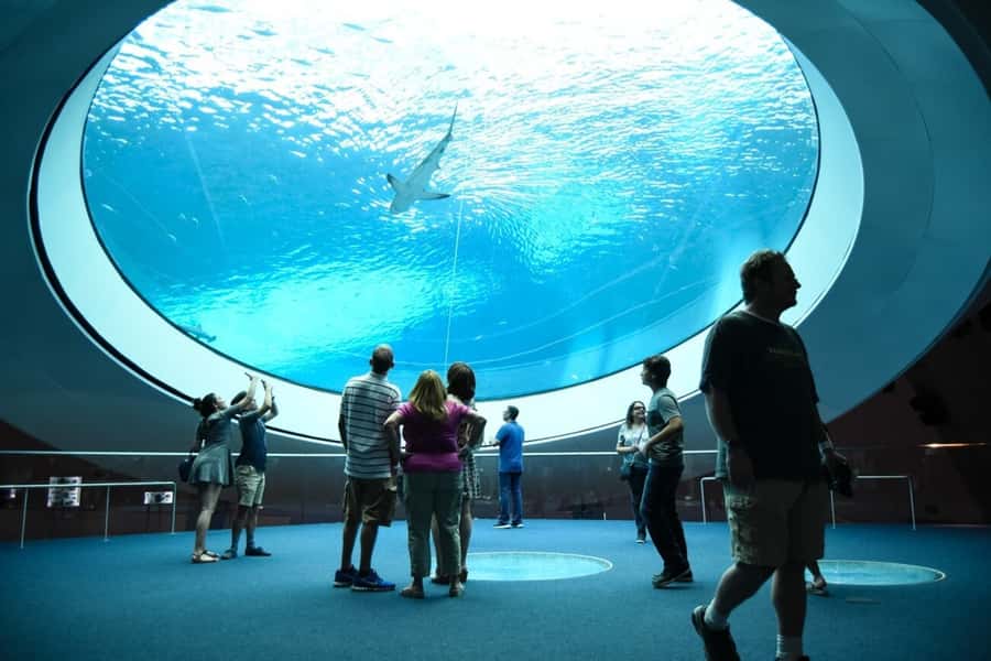 Miami: Frost Museum of Science and Planetarium Entry Ticket - Who will enjoy Frost Science most?